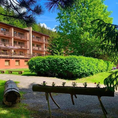 Horsky Hotel Podjavornik Papradno Ngoại thất bức ảnh